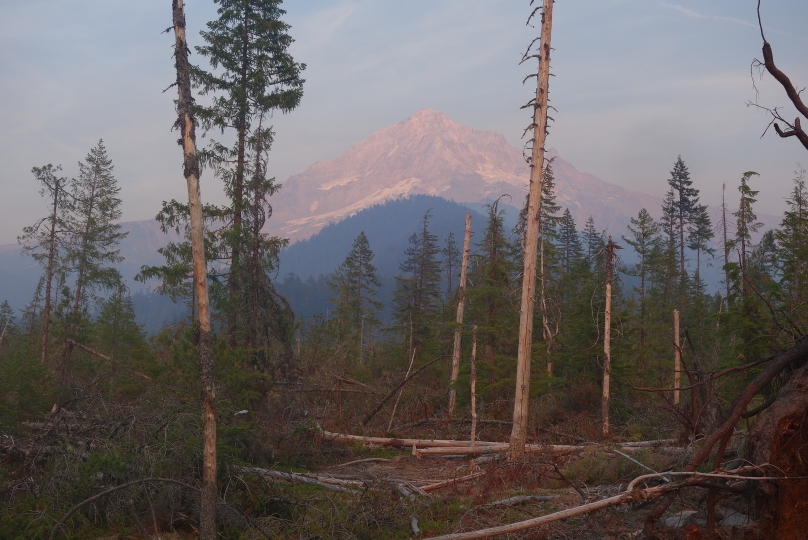 Abendstimmung mit Mt. Hood