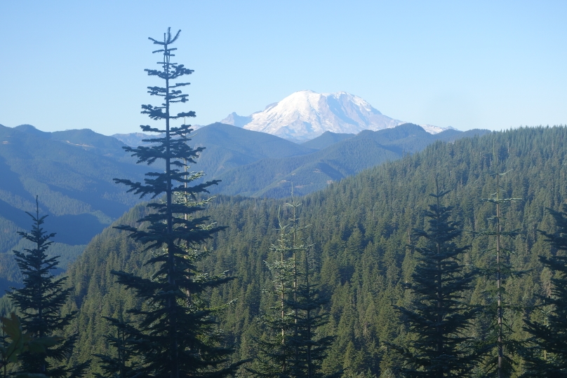 Letzter Blick zurück zum Mt. Rainier