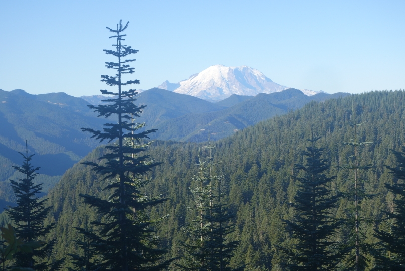 Letzter Blick zurück zum Mt. Rainier