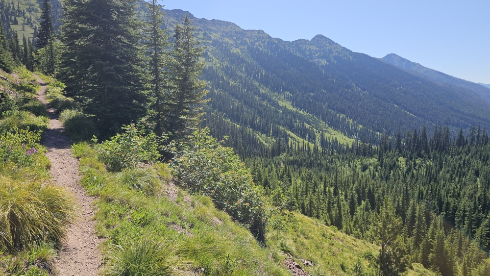 Auf single trail durch wunderschöne Berglandschaft.
