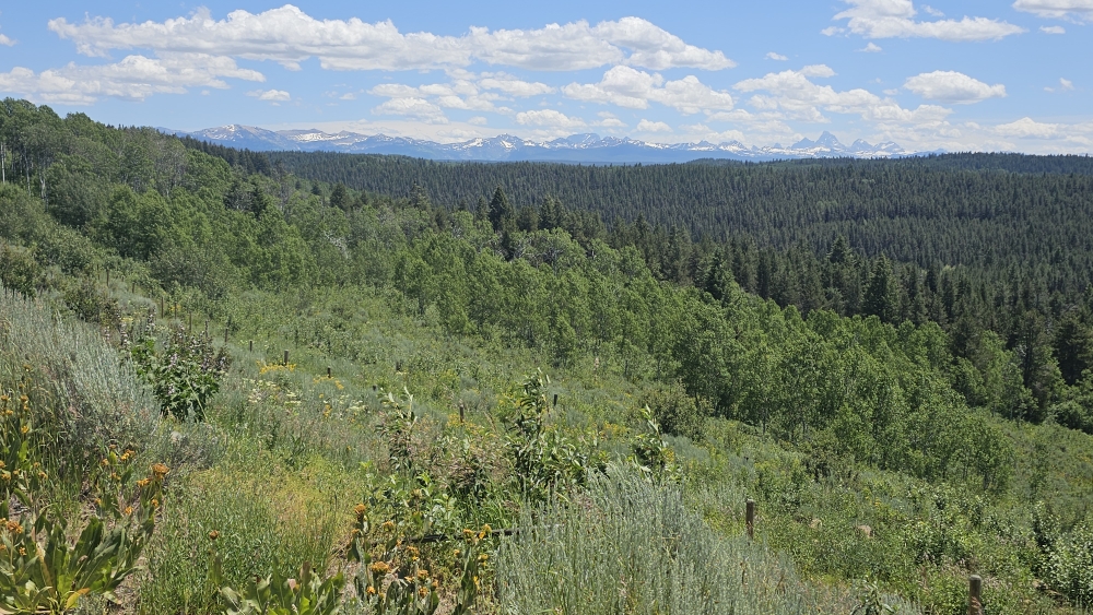 Die Tetons von der Idaho-Seite...