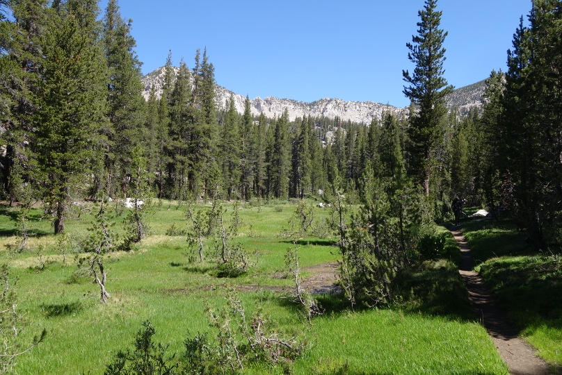 Langer Aufstieg Richtung Goodale Pass