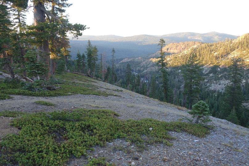 Wandern in den Morgenstunden hinunter nach Sierra City