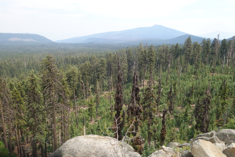 Dunstige Aussichten wegen Rauch von Waldbränden...