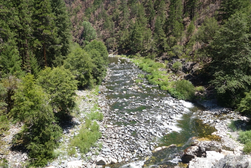 Der Feather River bot sich an für eine Erfrischung