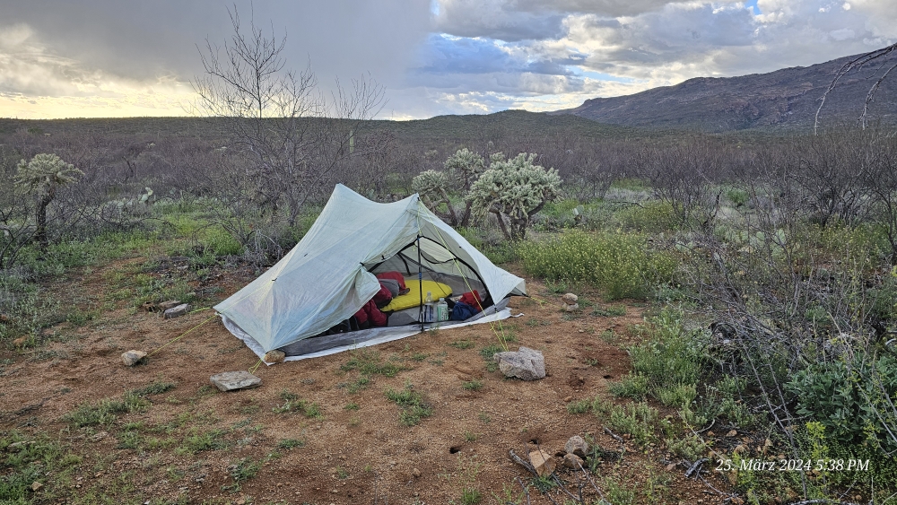 Mein Zeltplatz an der Grenze zum Saguaro Nationalpark