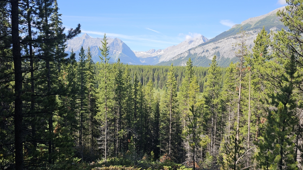 Banff NP/ Assiniboine Provincial Park