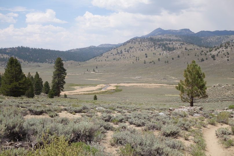 Baldige Ankunft an meinem ersten Etappenziel: der Kern river