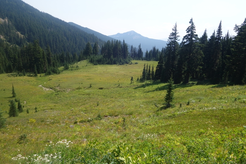 Alpine Wiesen in der Goat Rock Wilderness