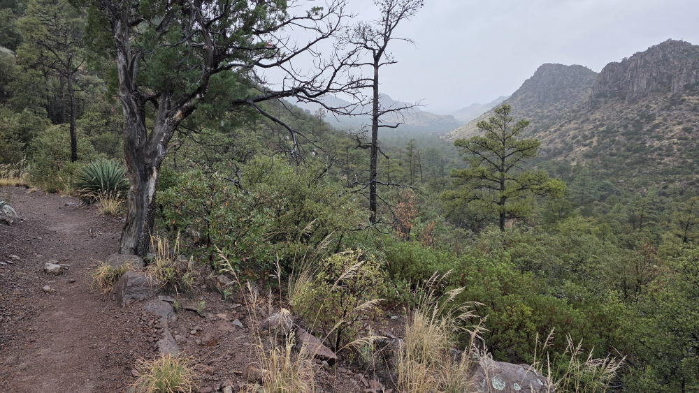 Eine verregnete Wanderung im ansonsten sonnigen Arizona.