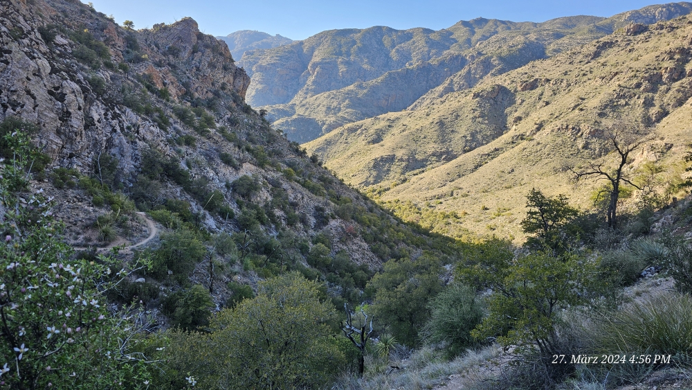 Weg hinunter zur Sabino Canyon Junction