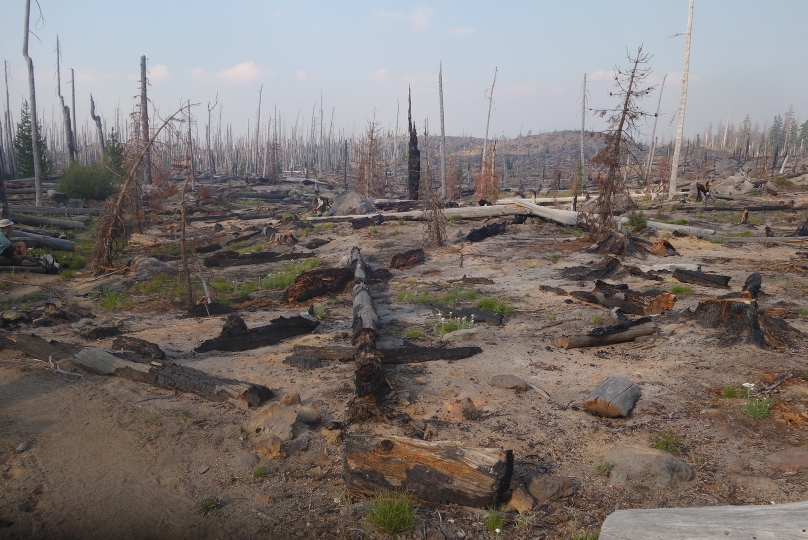 ...und wieder durch verbrannten Wald und plötzlich aufkommenden Rauch von einem fernen Waldbrand...