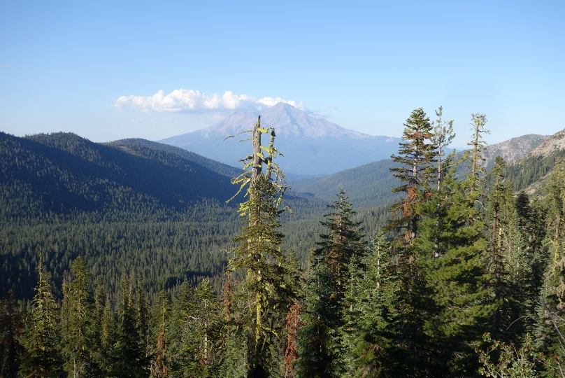 Mt. Shasta gegen Abend