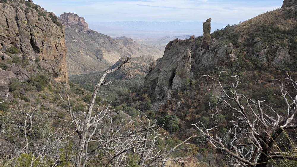 Auf der Wanderung rund um den Emory Peak.