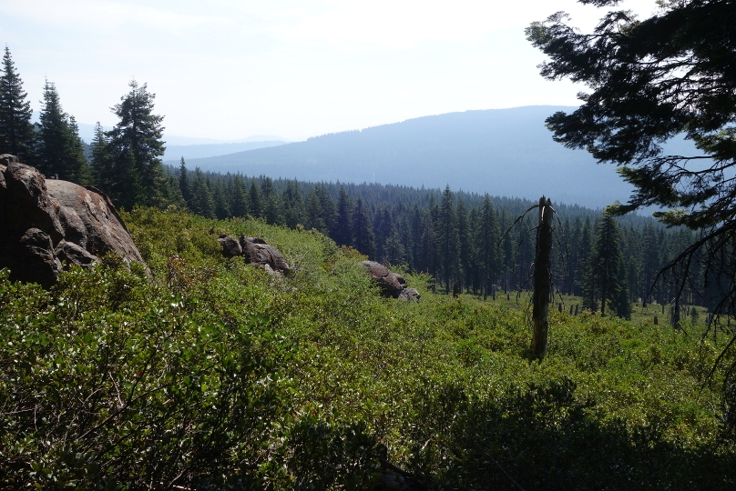 Sanfte Hügel und unendliche Wälder charakteriesiert die Landschaft von Oregon