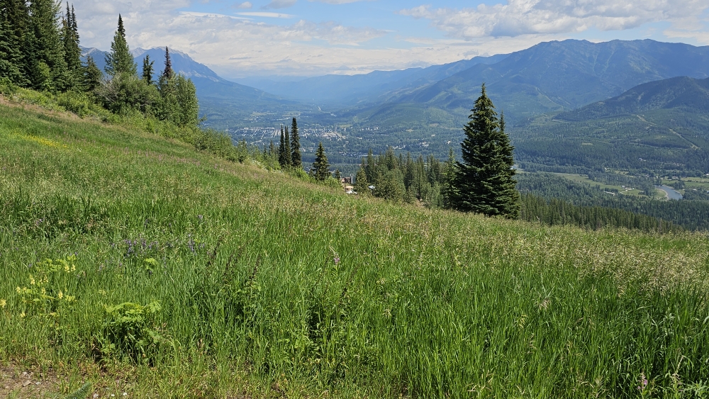 Blick auf Fernie...