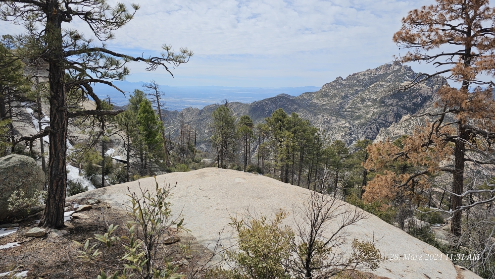 Beim Aufstieg zum Mt. Lemmon, Blick zurück...