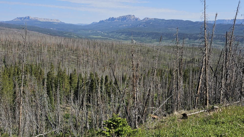 Blick Richtung Togwotee Pass in der Wind River Range, Wyoming.