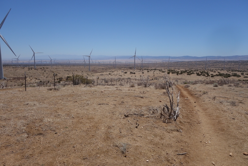 Wandern im Windmühlengebiet der Mojave-Wüste
