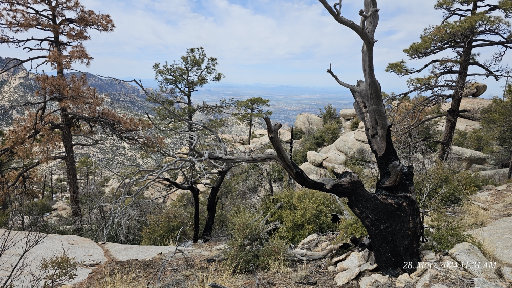 Blick ins Tal Richtung Tucson, oberhalb Romero Pass auf ca. 6500Fuss