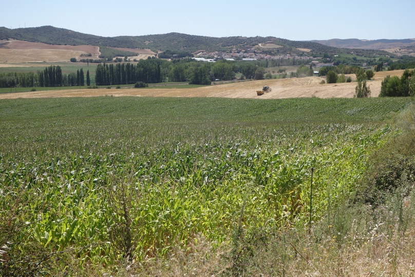 Castilla-La Mancha landscape.