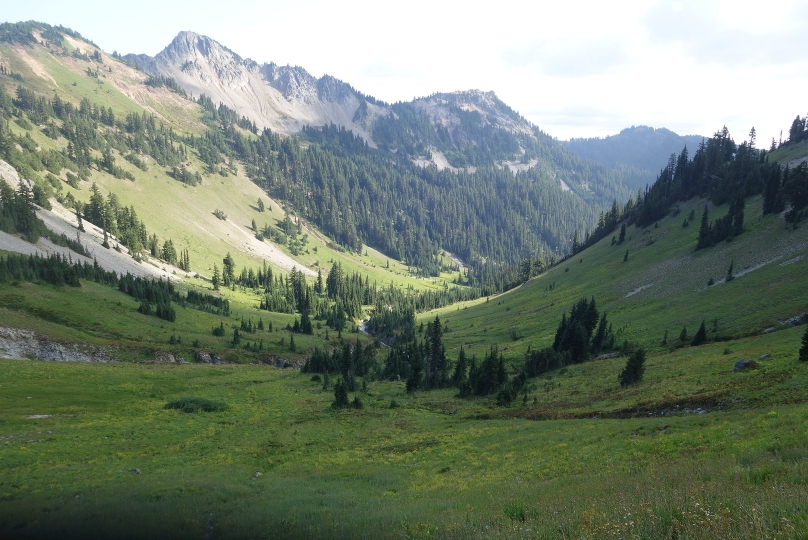 Bergwiesen und schroffe Gipfel: "Goat Rock Wilderness