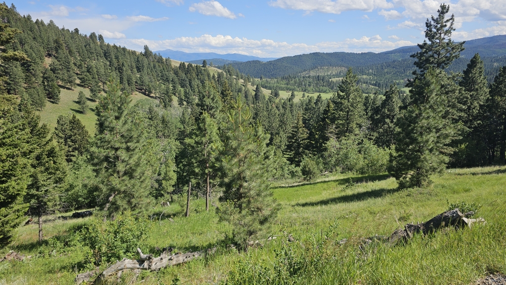 Liebliche Landschaft, aber doch fast menschenleer!