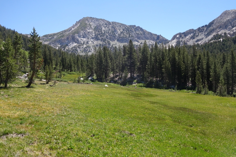 Weiter durch Wiesen und Wälder hoch zum Pass