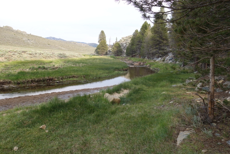 Der Kern river, wo ich die Gelegenheit hatte, mich und meine Wäsche zu waschen (Wassertemp. geschätzte 23°C)