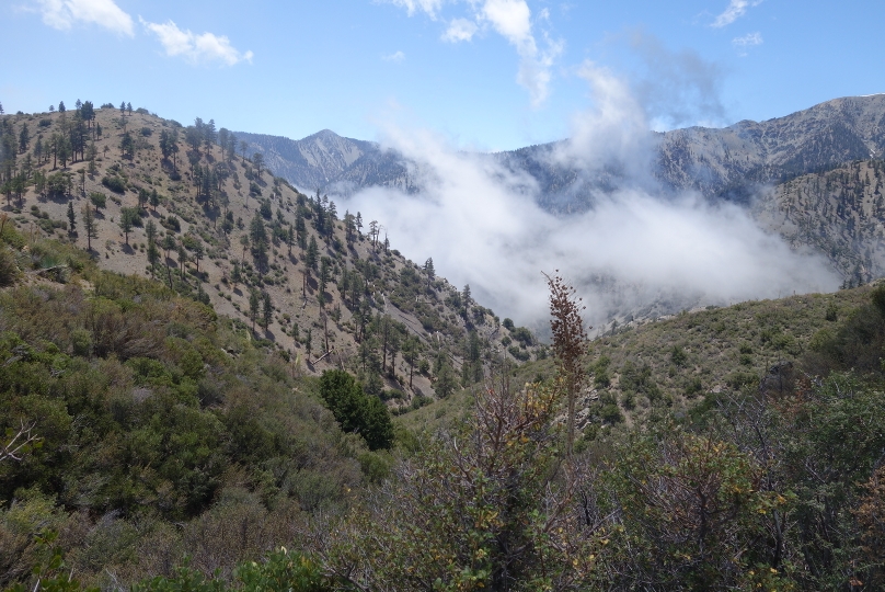 San Gabriel Mountains