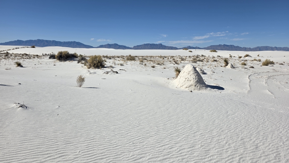 Sehr wahrscheinlich vom verwehten Sand zugedeckte Büsche: bizarre Sandhaufen...