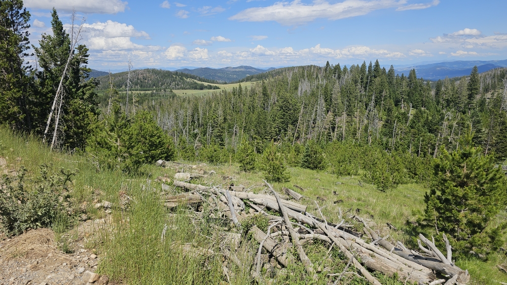 Landschaft nach dem dritten Anstieg...