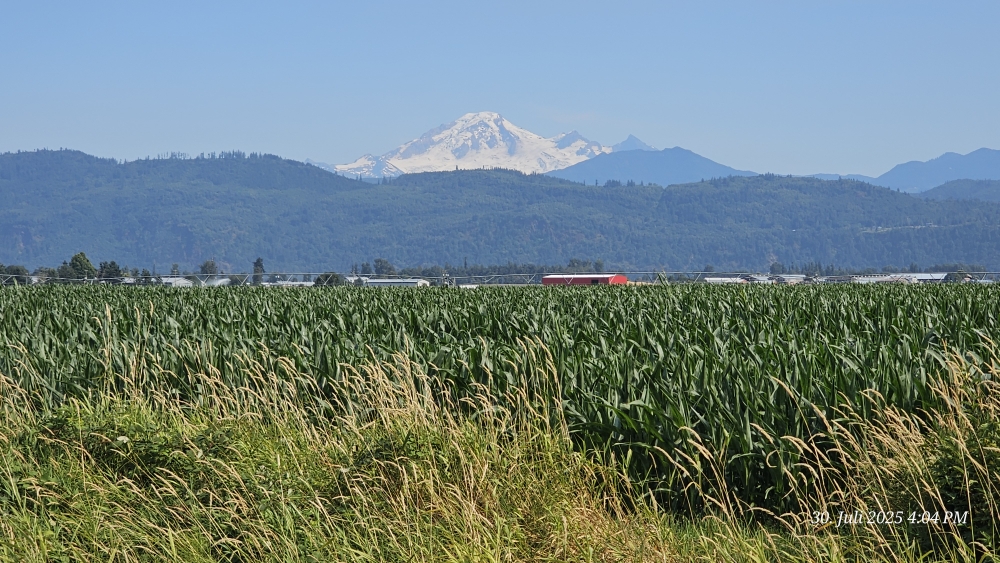 Mt. Baker: mächtiger Vulkan im Norden von Washington.