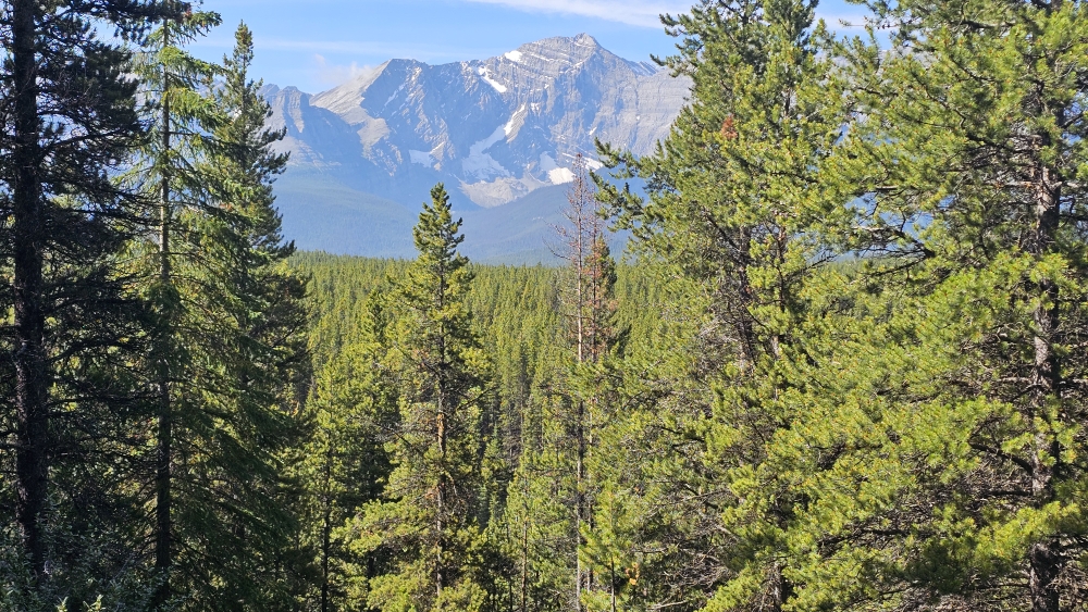 Schöne Ausblicke auf die Bergwelt des Banff National Parks