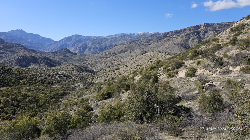 Mt. Lemmon, Catalina Mountains (Hausberg von Tucson) im Hintergrund