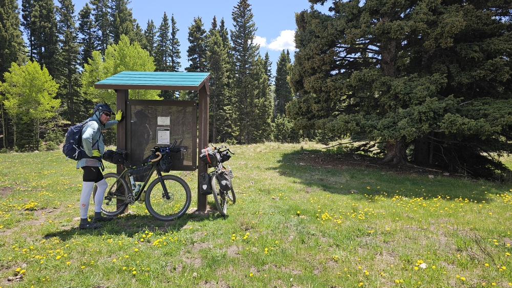 Unser Mittagspauseplatz an der Kreuzung zum Continental Divide (Wander-) Trail.