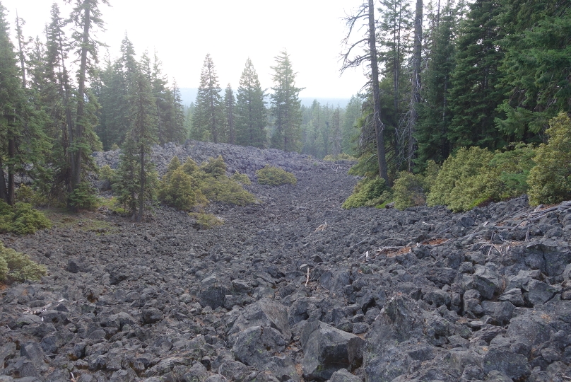Die Vegetation gedeiht nach vielen Jahren wieder auf der erkalteten Lava