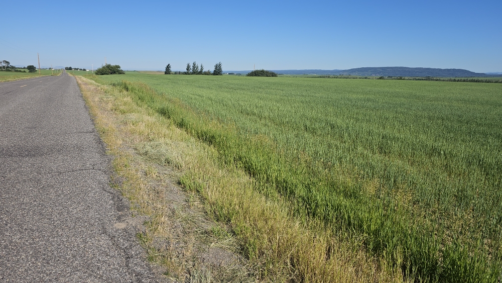 Grünes Ackerland in Idaho...