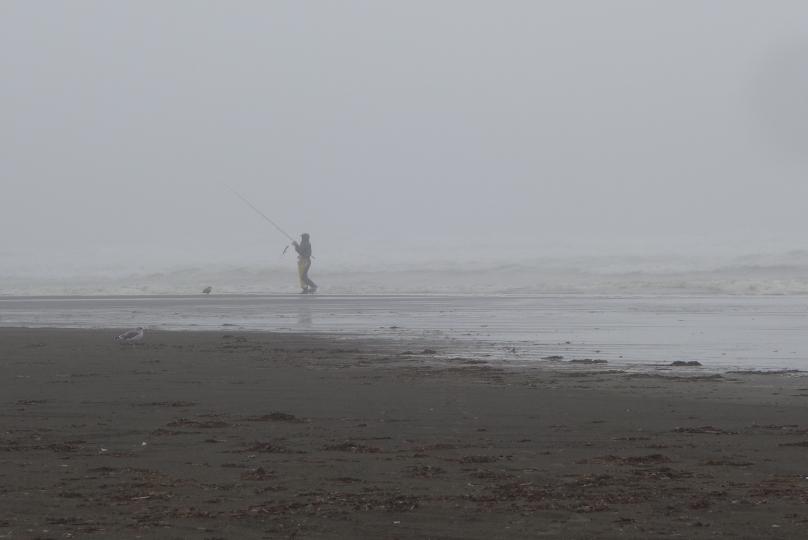 Ausflug an die Westküster der Olympic Peninsula (im Nebel...)