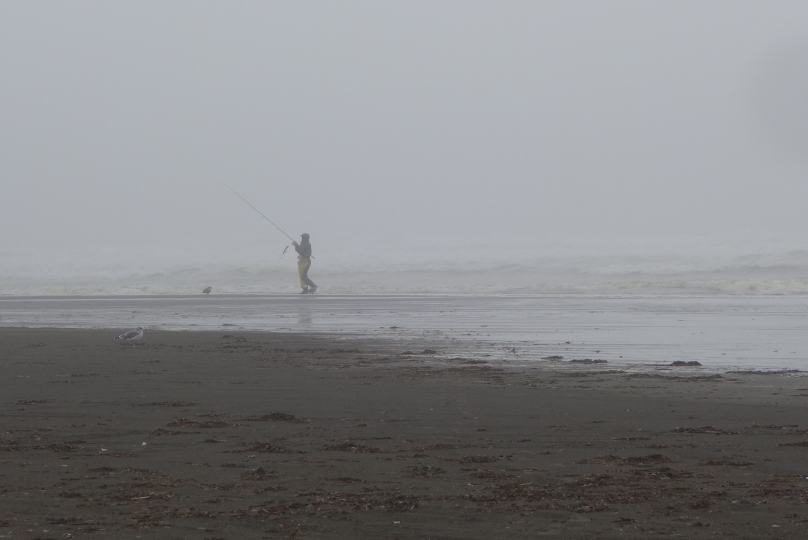 Ausflug an die Westküster der Olympic Peninsula (im Nebel...)