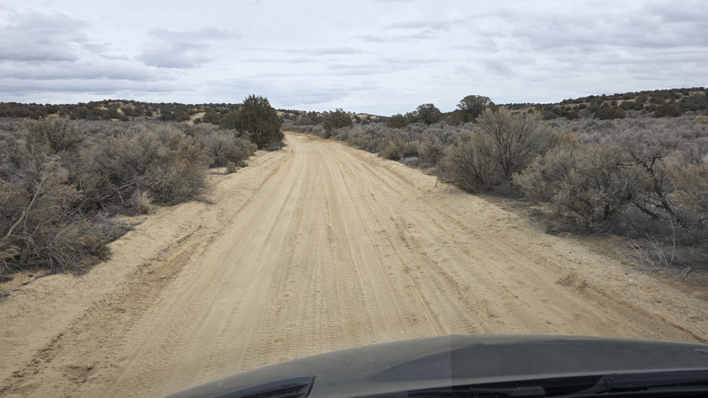 Typische Forststrasse im Carson NF.