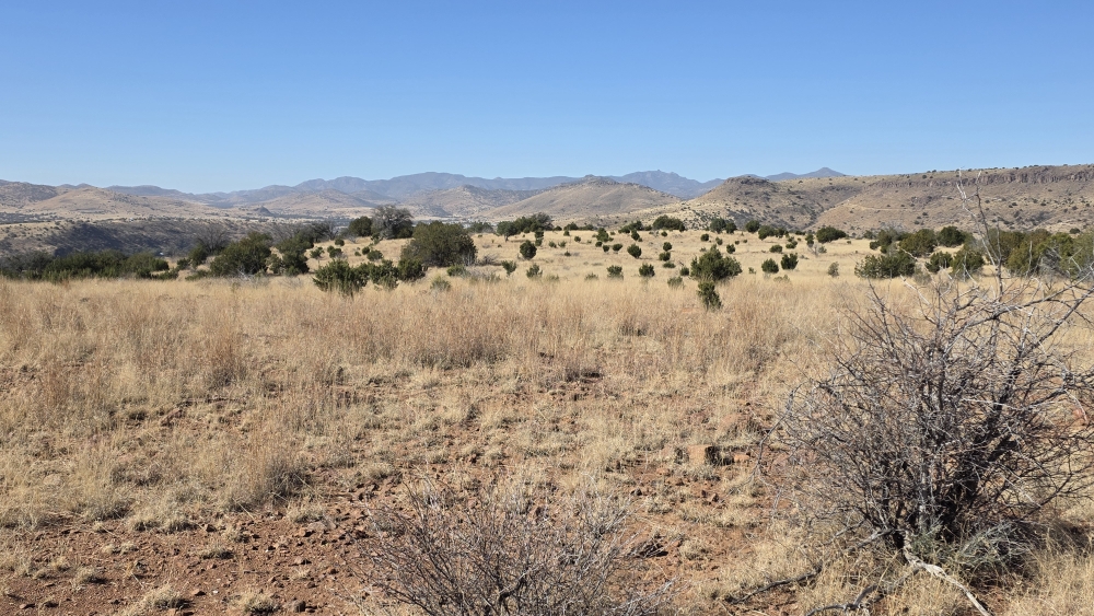 Auf der Wanderung im Davis Mountains State Park.