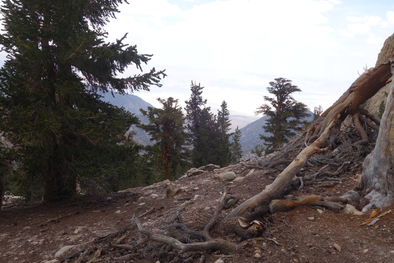 Blick hinunter ins Tal gegen Osten