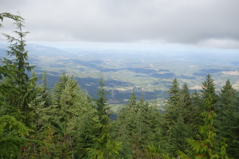 Auf dem Weg von Port Angeles (Nordküste der Olympic peninsula) nach Olympia auf dem Mt. Walker mit Blick gen Westen