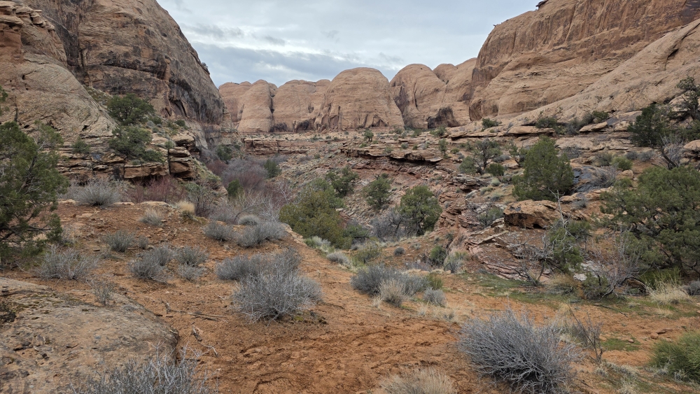 Meine erste Wanderung auf dem Grandstaff Canyon trail.