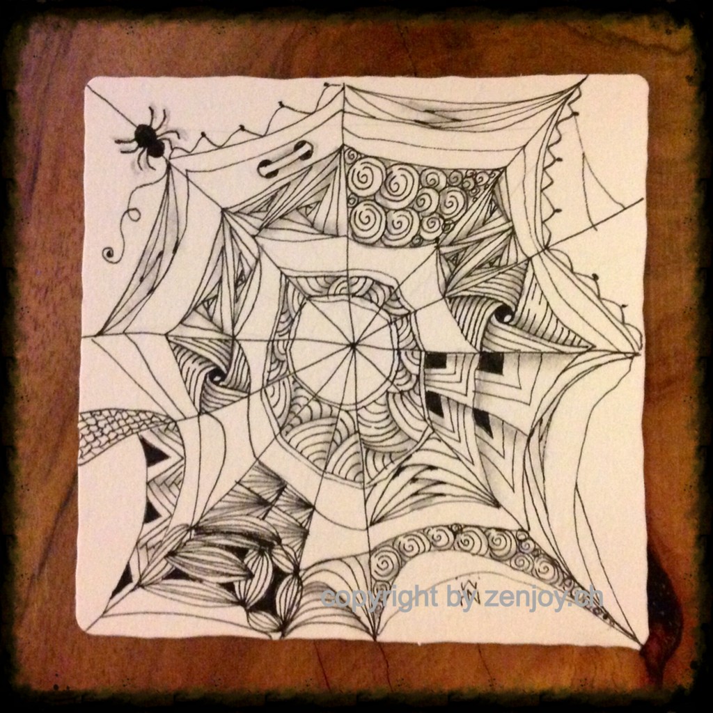 Spinnennetz Als Flachenteiler A Spiderweb String