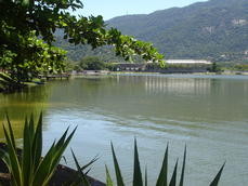 Lagoa RODRIGO de FREITAS.