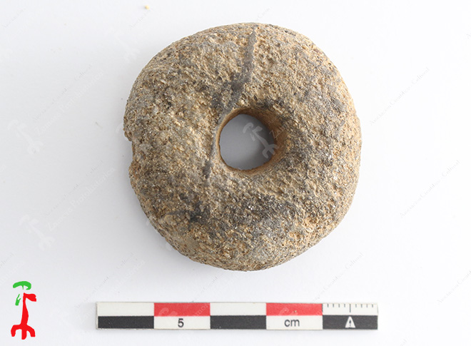 Fotografía de Zamora Protohistórica