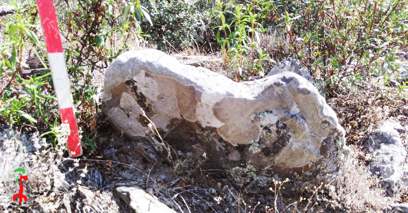 Una de las muchas piedras hincadas de la ladera Sur