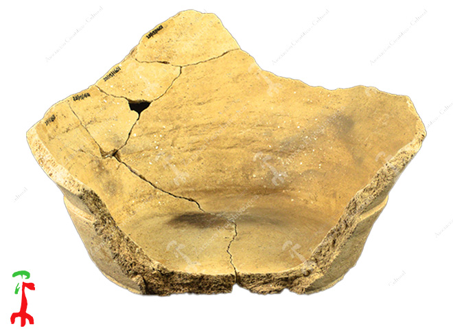 Fotografía de Zamora Protohistórica
